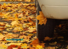 Car driving in fall