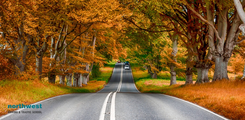 A Guide to Avoiding the Most Dangerous Aspects of Fall Driving