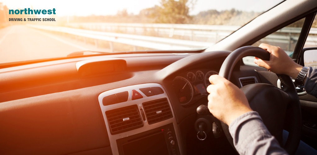 Driving Instruction: The Most Important Lessons